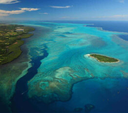 Islands: biodiversity gems at risk