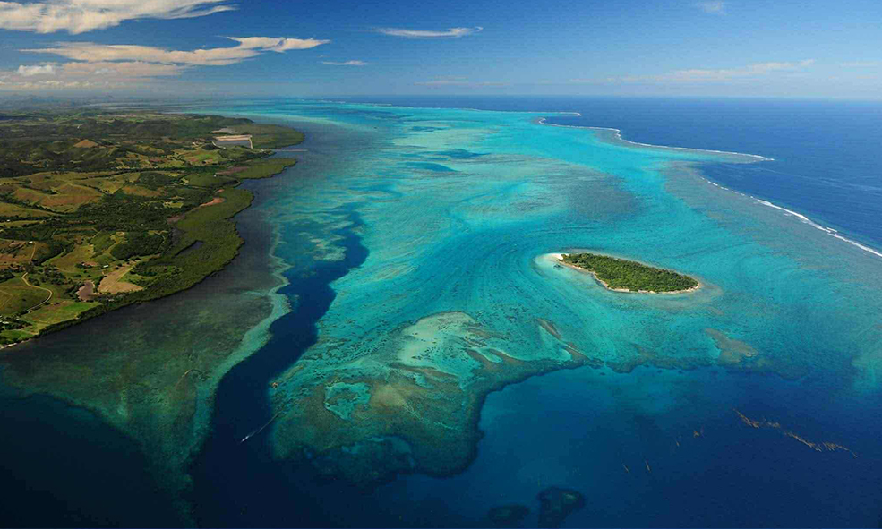 Les îles : joyaux de biodiversité en péril