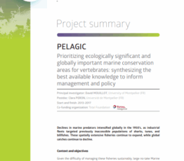 PELAGIC | Prioritizing ecologically significant and globally important marine conservation areas for vertebrates